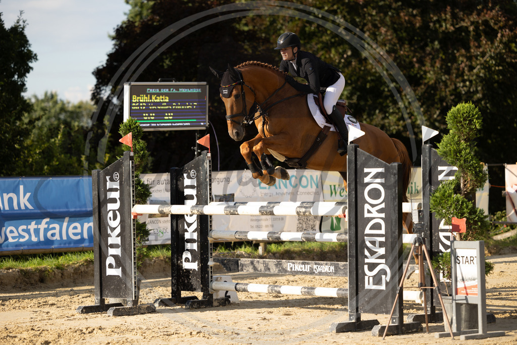 994A8638 | sabrinanicolaifotografie - Realisiert mit Pictrs.com