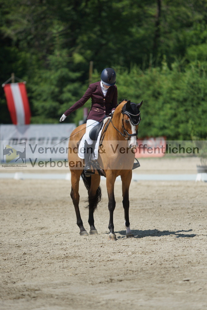 DSC01761 | equestrian-live-com