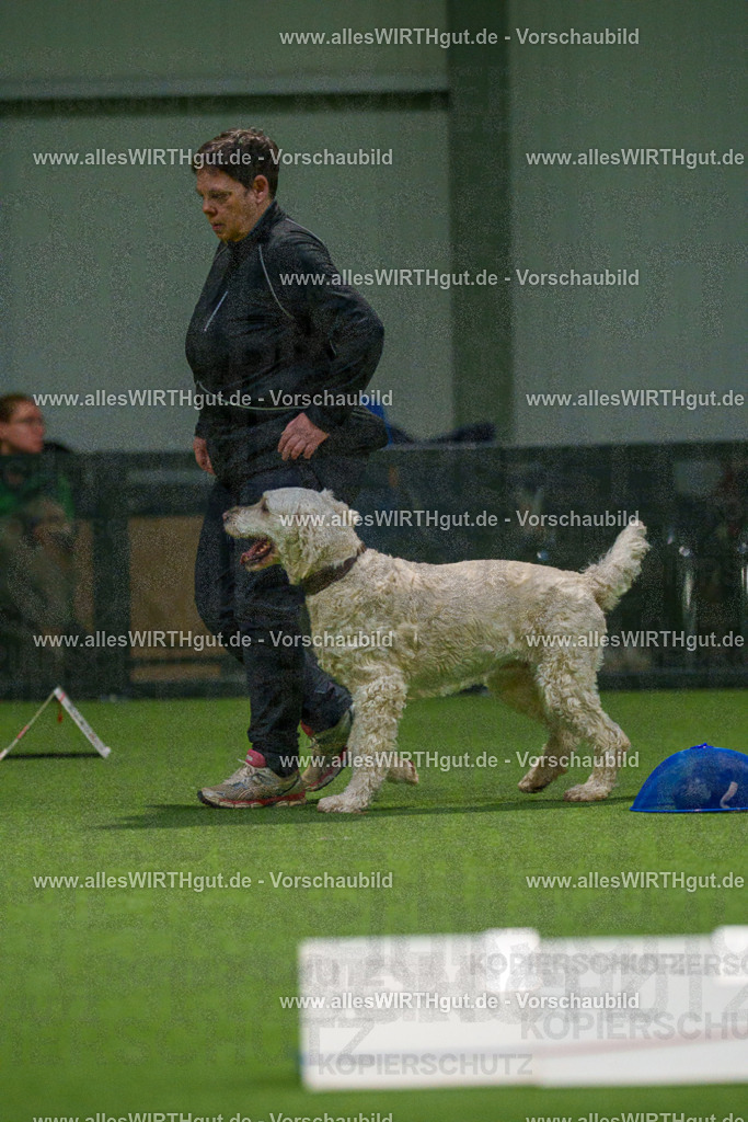 7R504301 | Professionelle Tierfotografie in Mönchengladbach von Daniel Wirth (allesWIRTHgut). Liebevolle & natürliche Bilder von Hunden & Katzen für unvergessliche Erinnerungen.