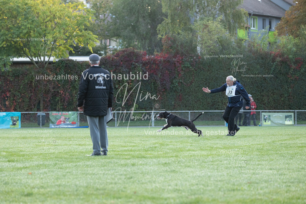 _16A5764 | Einzigartige Fotos von Hunden & Menschen –Actionfotos, Portraits, Vereinsaufnahmen & Paarshootings – authentisch, lebendig & mit Herz.