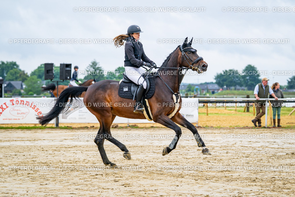 DSC01948 | Pferdegrafie