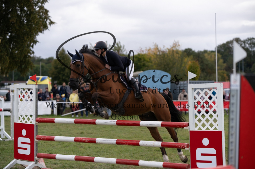 A7V07339 | Turnier/Reitfotograf