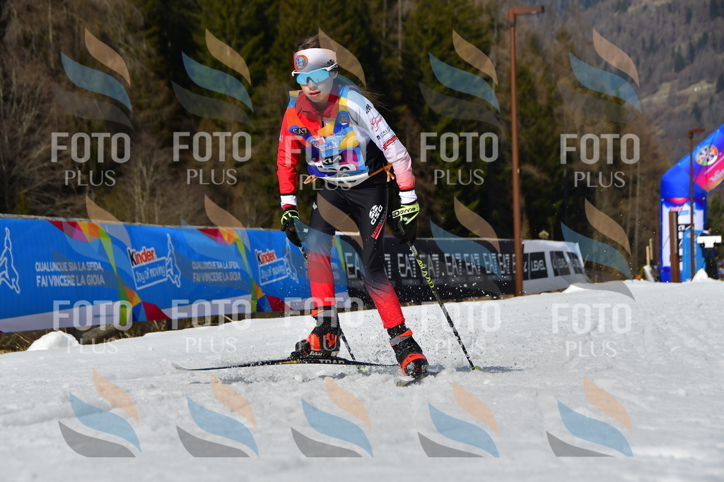 _DSC0026 | holidayphoto