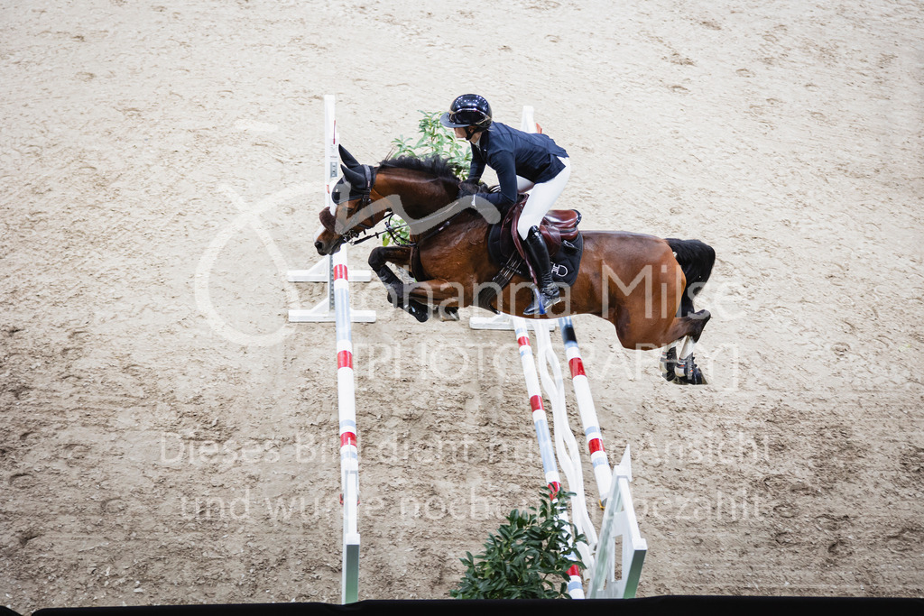 251102_OLD_S4-Spr_GP-902 | AGRAVIS Cup Oldenburg 2025 | S****-Springen | Große Tour