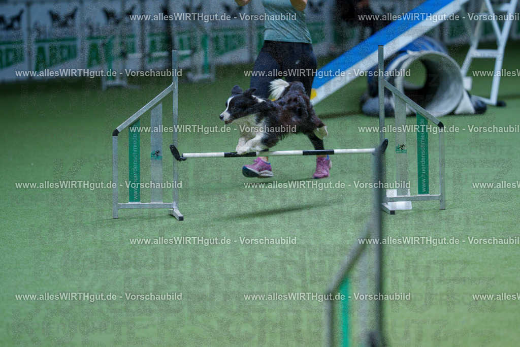 @allesWIRTHgut_Tierfotografie - www.allesWIRTHgut.de - 2604251253-7R503003 | Professionelle Tierfotografie in Mönchengladbach von Daniel Wirth (allesWIRTHgut). Liebevolle & natürliche Bilder von Hunden & Katzen für unvergessliche Erinnerungen.