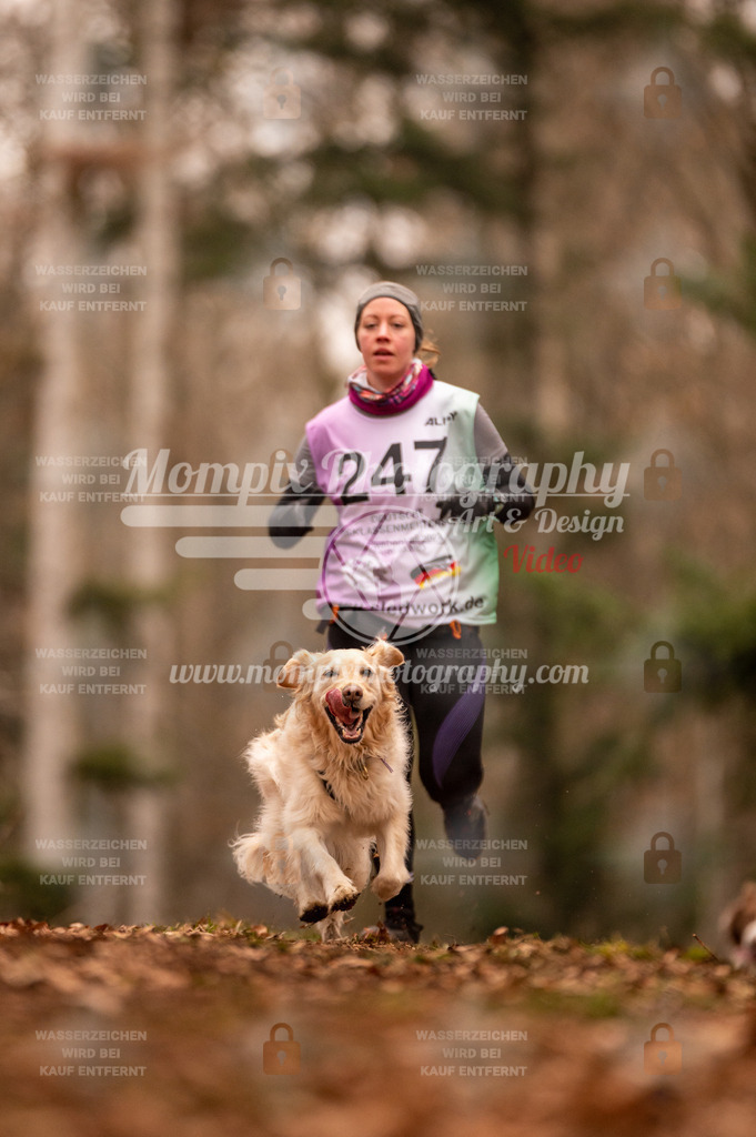 AKM_ST_2023_SAM_Run-132 | PayLife