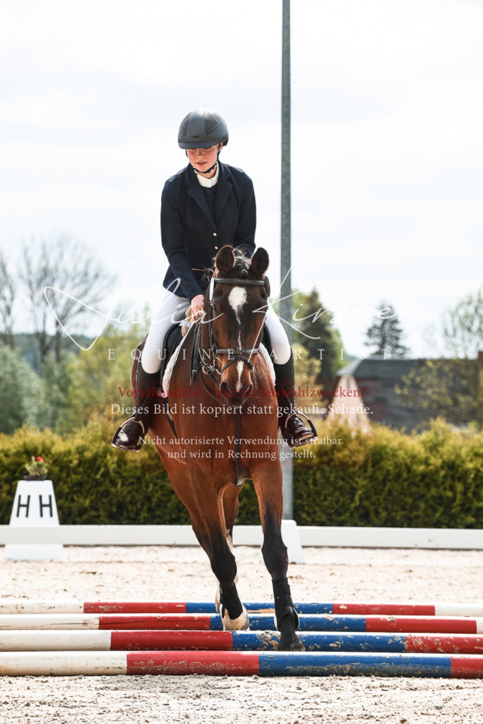 20230518_JK-Röhrsdorf-10-061 | Pferde- und Turnierfotografie in Westsachsen. Pferdeportraits, Auftragszeichnungen und intuitive Kunst.