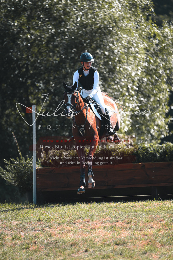 DSC_8184 | Pferde- und Turnierfotografie in Westsachsen. Pferdeportraits, Auftragszeichnungen und intuitive Kunst.