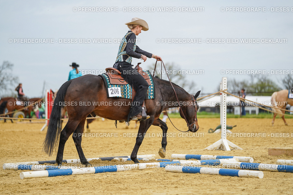 DSC03155 | Pferdegrafie