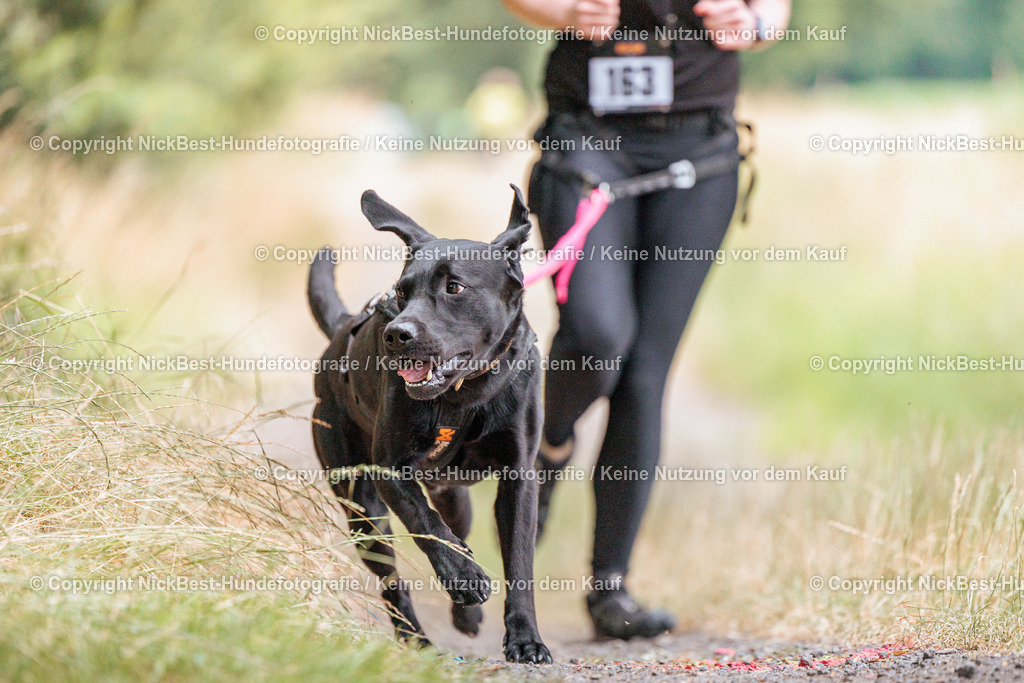 THS-Quakenbrück-2026-Nickbest-Hundefotografie-0802 | Dein Hund! Dein Moment! Deine Erinnerungen! Hundefotografie in Bremen Blumenthal. Ich fange die besonderen Momente deines Vierbeiners ein – ob Indoor mit Blitzanlage oder in der freien Natur. Sicher dir dein Moment und dein Termin für eure Erinnerungen.