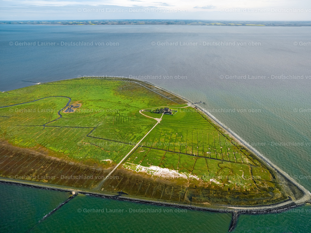 3091049 | Hallig Südfall, Nationalpark Schleswig-Holsteinisches Wattenmeer.