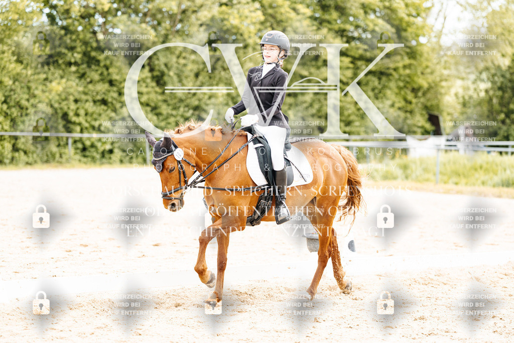 CK904644 | Turnierfotografie Pferdefotografie Trier Rheinland-Pfalz Pferdesport Reitsport Tierfotografie Sportfotografie Pferdevideo Pferdevideografie Equestrianvideography equestrianphotography  - Realisiert mit Pictrs.com