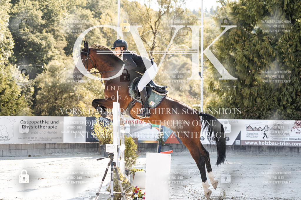 CK904118 | Turnierfotografie Pferdefotografie Trier Rheinland-Pfalz Pferdesport Reitsport Tierfotografie Sportfotografie Pferdevideo Pferdevideografie Equestrianvideography equestrianphotography  - Realisiert mit Pictrs.com