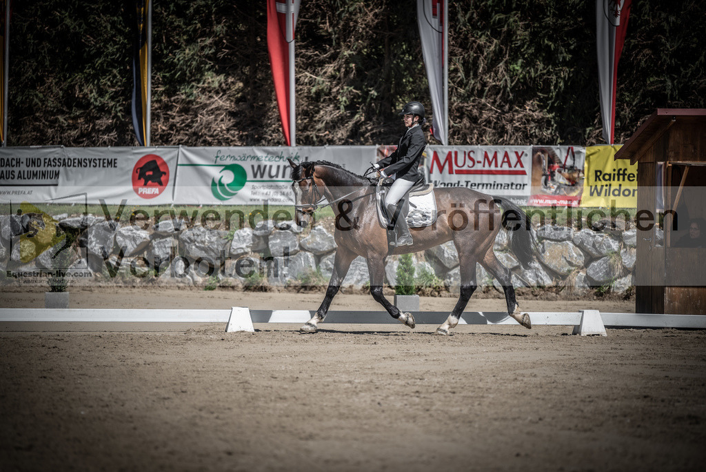 DSC_0345 | equestrian-live-com