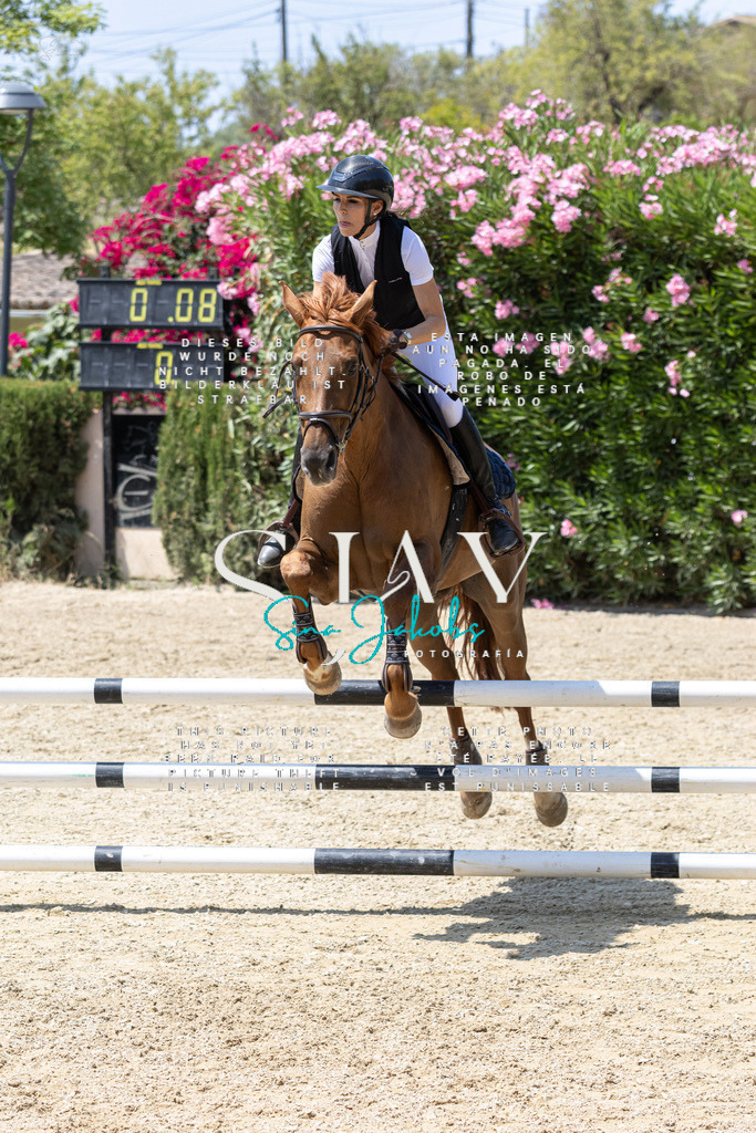 IMG_0901 | s-jay-photography - Realisiert mit Pictrs.com