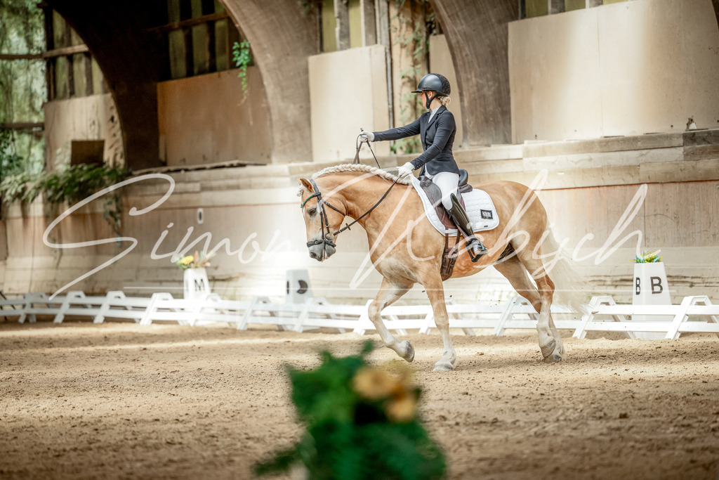 20250621-_3LI6636 | Tierfotografie Pferde, Hunde, Katzen, Haustiere.
Turnierfotografie Reitturniere, Reiten, Springreiten, Dressur in Hanau, dem Main-Kinzig-Kreis und dem Rhein-Main- Gebiet um Frankfurt