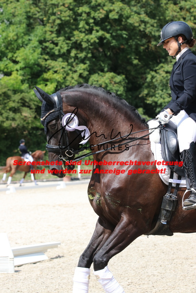 IMG_7633 | lmwpictures - Realisiert mit Pictrs.com