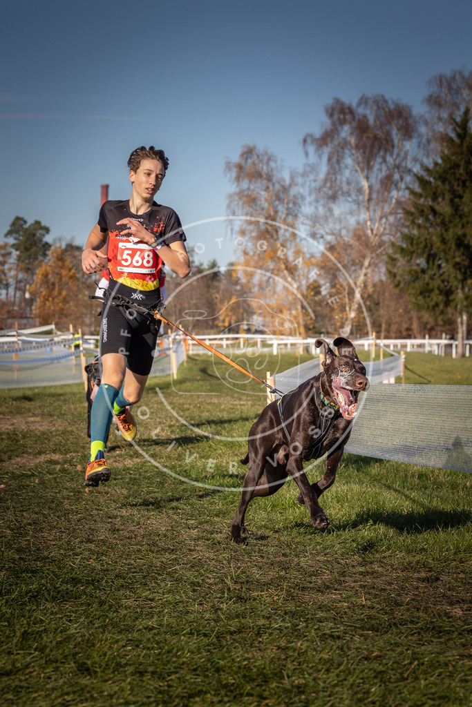 CaniXpix_0L8A7997 | Hundefotografie, Tierfotograf, Pfotenfotografie, Fotoshooting Hund, Hunde Portrait, Hundesport, Hundeportraits, Heideshooting, Hunde, Sportfotograf, Hundefotograf, Turnierhundsport, THS,  - Realisiert mit Pictrs.com