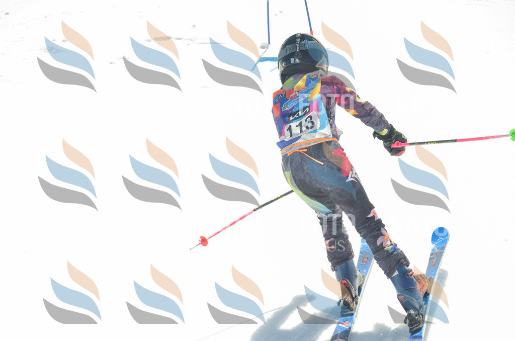 _ELE5934 | holidayphoto