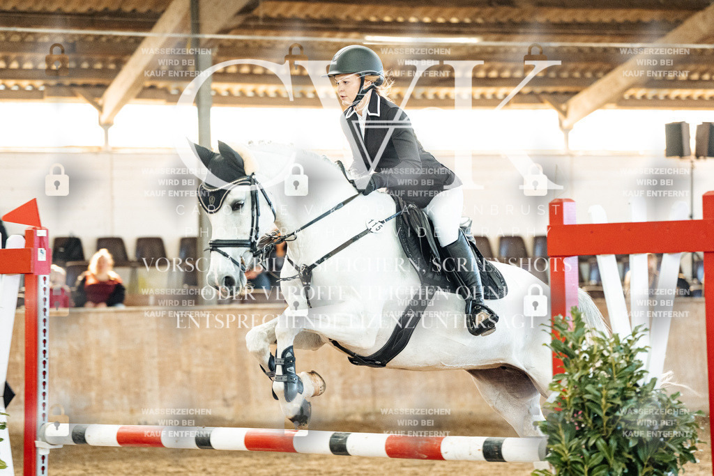 CK904613 | Turnierfotografie Pferdefotografie Trier Rheinland-Pfalz Pferdesport Reitsport Tierfotografie Sportfotografie Pferdevideo Pferdevideografie Equestrianvideography equestrianphotography  - Realisiert mit Pictrs.com