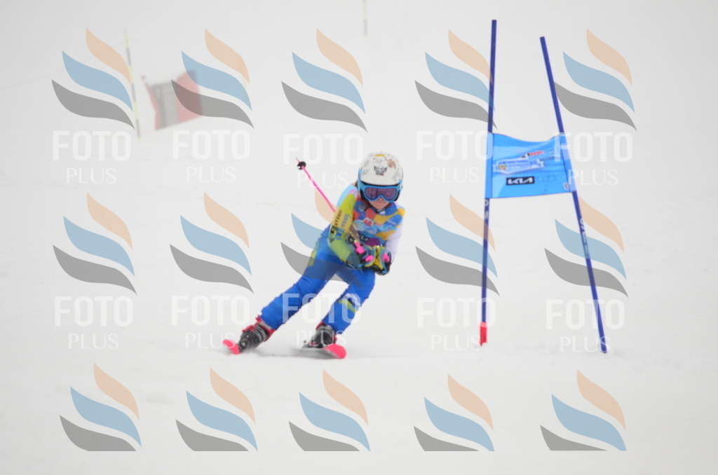 C1320 | holidayphoto