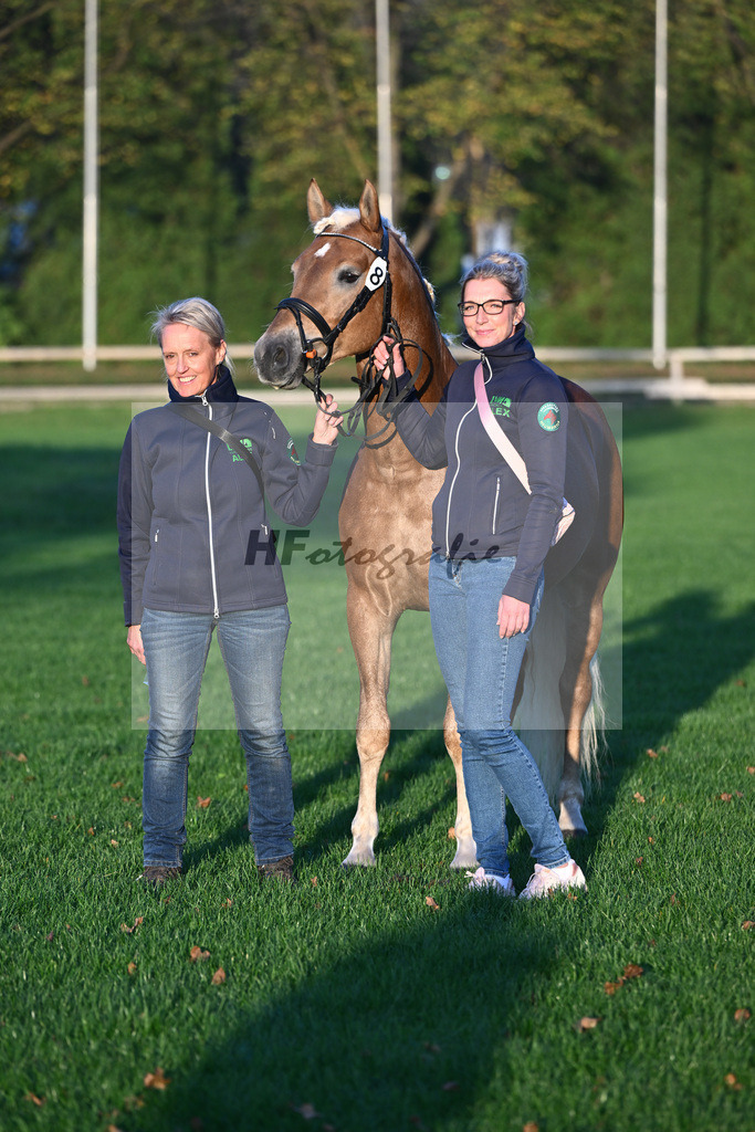 Kat-Nr. 8 Eiswind_Sendig Gestuet Meura_44241255 | hf-fotografie - Realisiert mit Pictrs.com