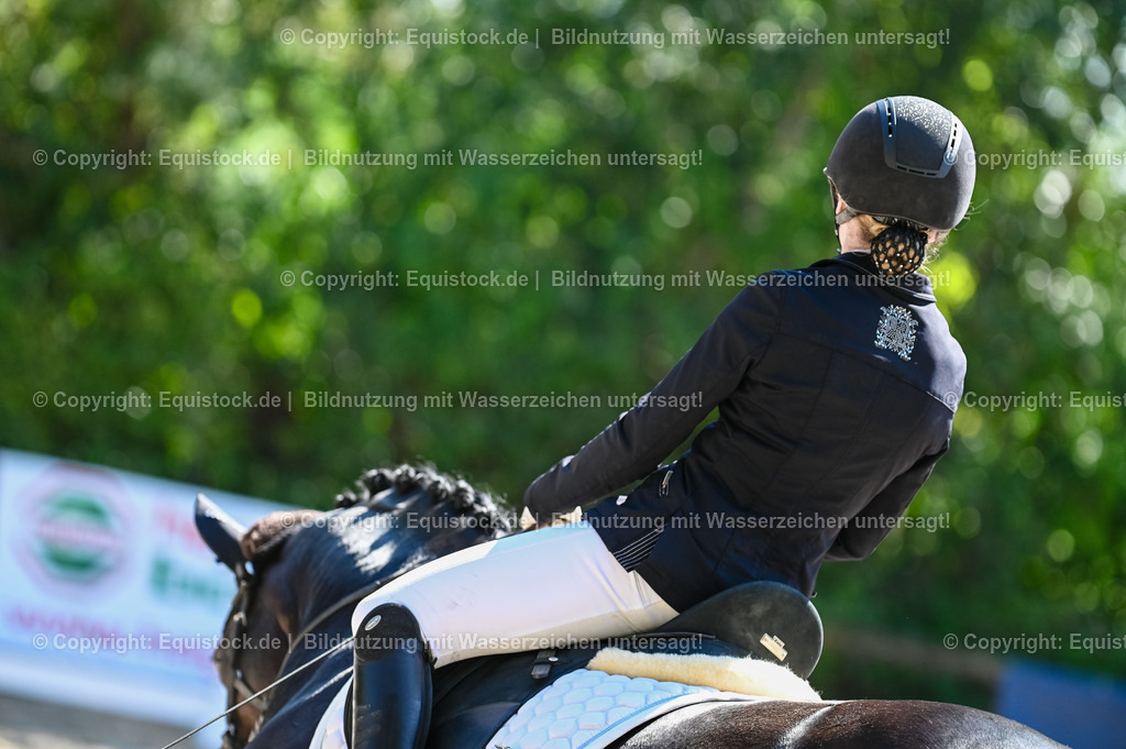 20230908_06_Dressur-L-Trense_0558 | equistock