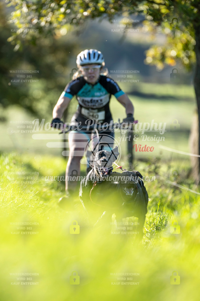 MompixPhotography_20TSB_E3_DS2-20 | PayLife
