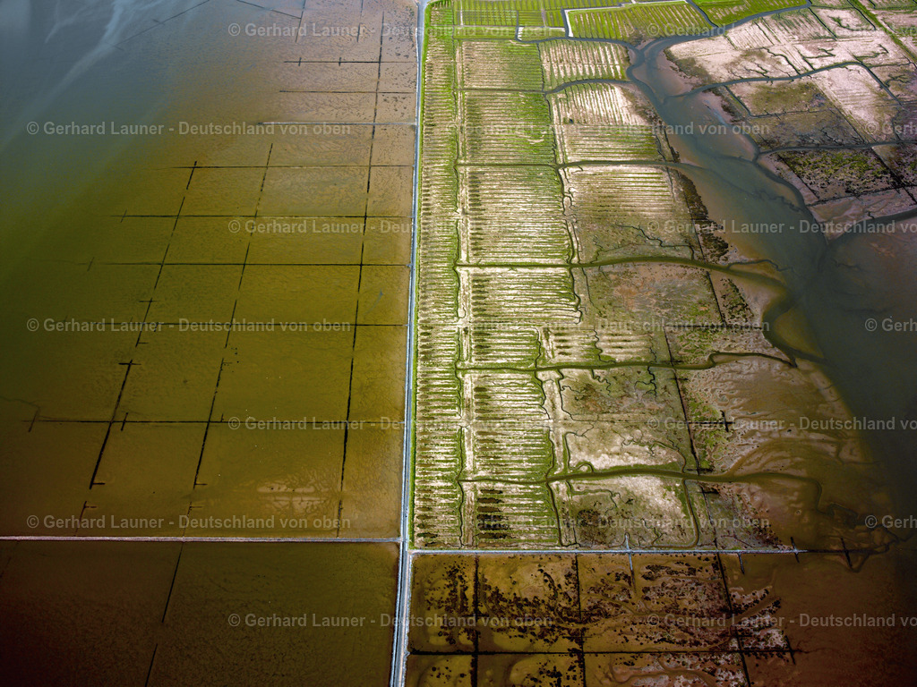 2319197 | Watt bei Friedrichskoog, Nationalpark Schleswig-Holsteinisches Wattenmeer