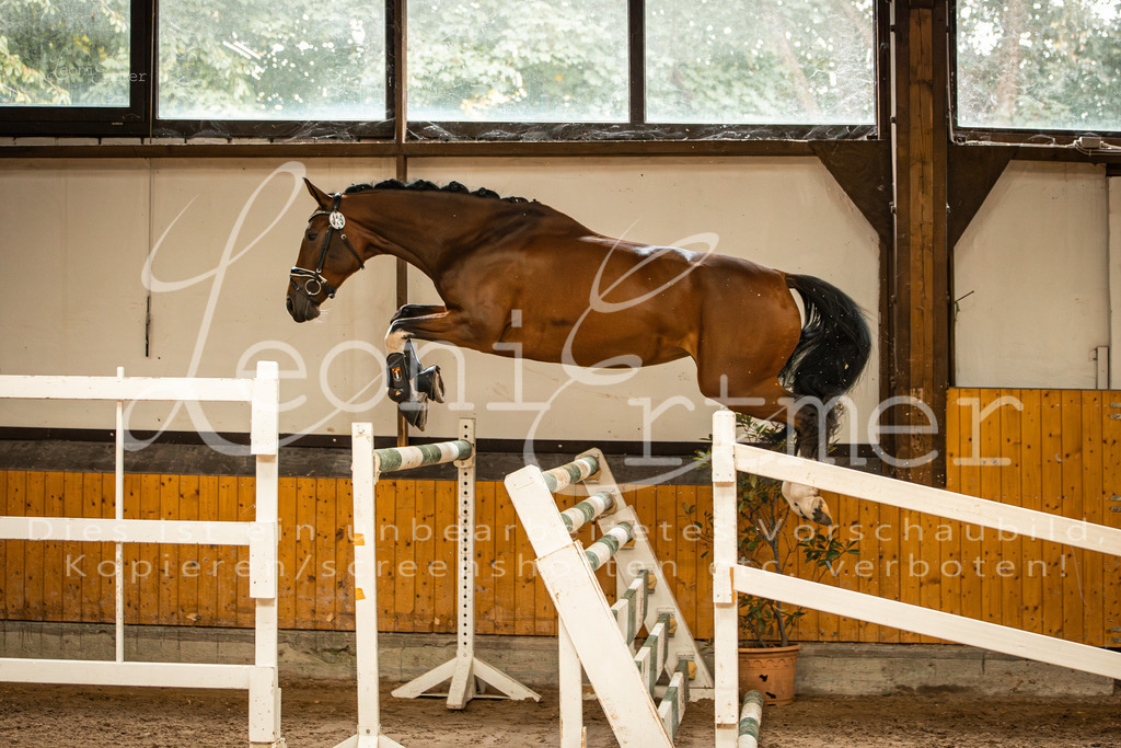 2FS_L00031 | Leoni Ertmer Photography - Realisiert mit Pictrs.com