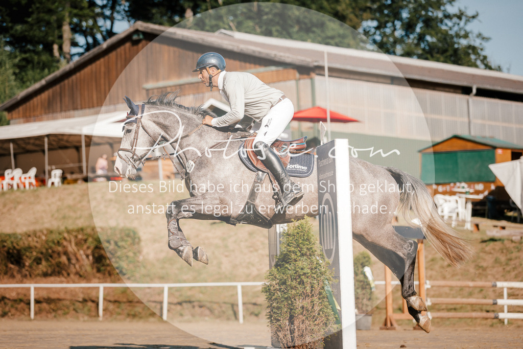 3I6A6310 | Stimmungsvolle Portraits und Reitsportfotografie im Ruhrgebiet und im Münsterland.

Pferdefotografie, Hundefotografie, Tierfotografie, Reportagen, Portraits von Tier und Mensch, Turnierfotografie in Bochum, Recklinghausen, Marl, Haltern am See, Dülmen.. - Realisiert mit Pictrs.com