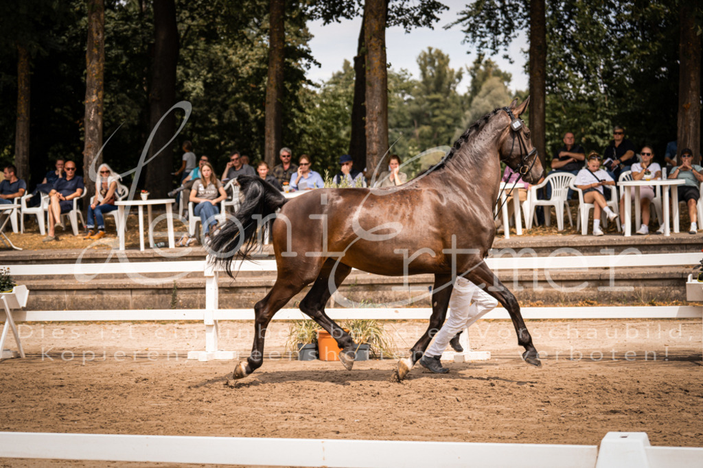 3.Fr00054 | Leoni Ertmer Photography - Realisiert mit Pictrs.com