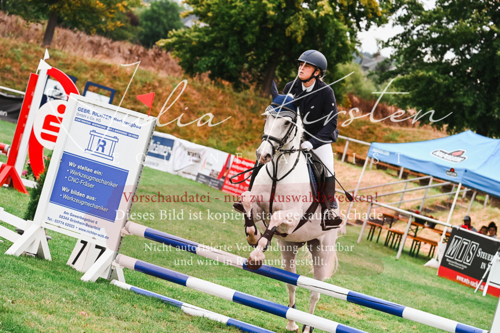 DSC_5948 | Pferde- und Turnierfotografie in Westsachsen. Pferdeportraits, Auftragszeichnungen und intuitive Kunst.
