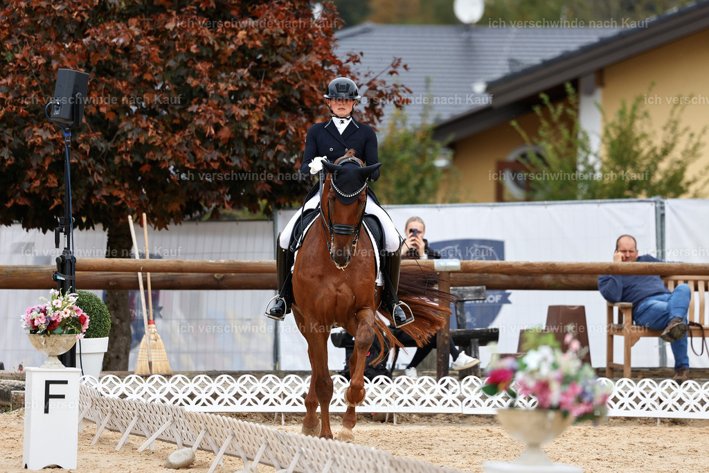 11-141-Dressur S___-Marixx-1827 | working equitationturnier fotograf videograf stoibphotography marixx film working equitation deutschland reitsport turnierfotografie eventfotografie equestrian events