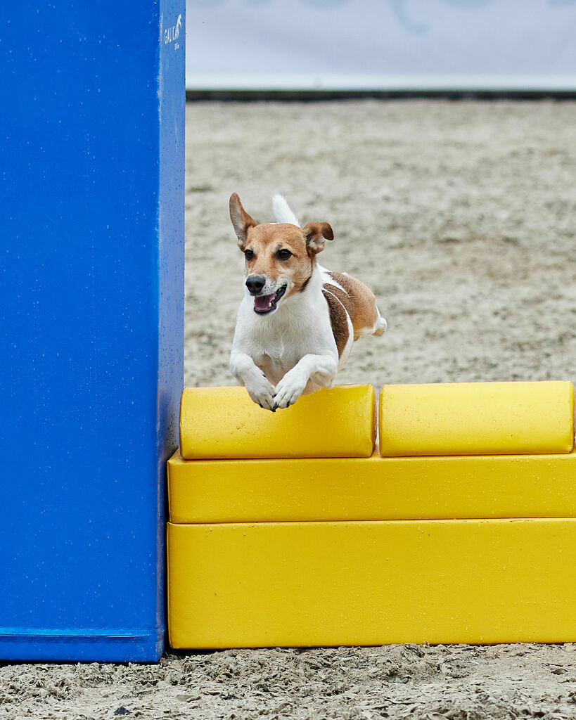 580A0204 | Peter Fridle Fotografie - Realisiert mit Pictrs.com