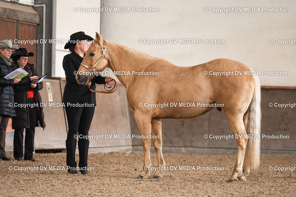 Heiligenwald Tag 2-70 | dv-media-shop - Realisiert mit Pictrs.com