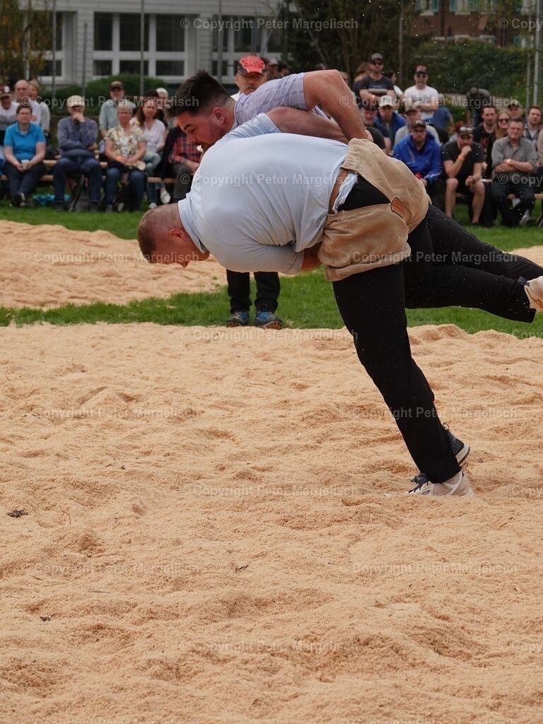 k-DSC06216 | Schwingen - Realisiert mit Pictrs.com