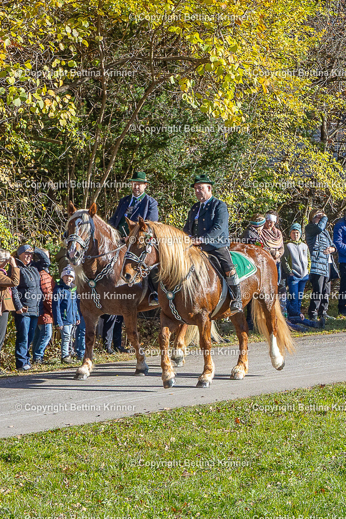 LBT25-134 | foto-bettina-krinner - Realisiert mit Pictrs.com