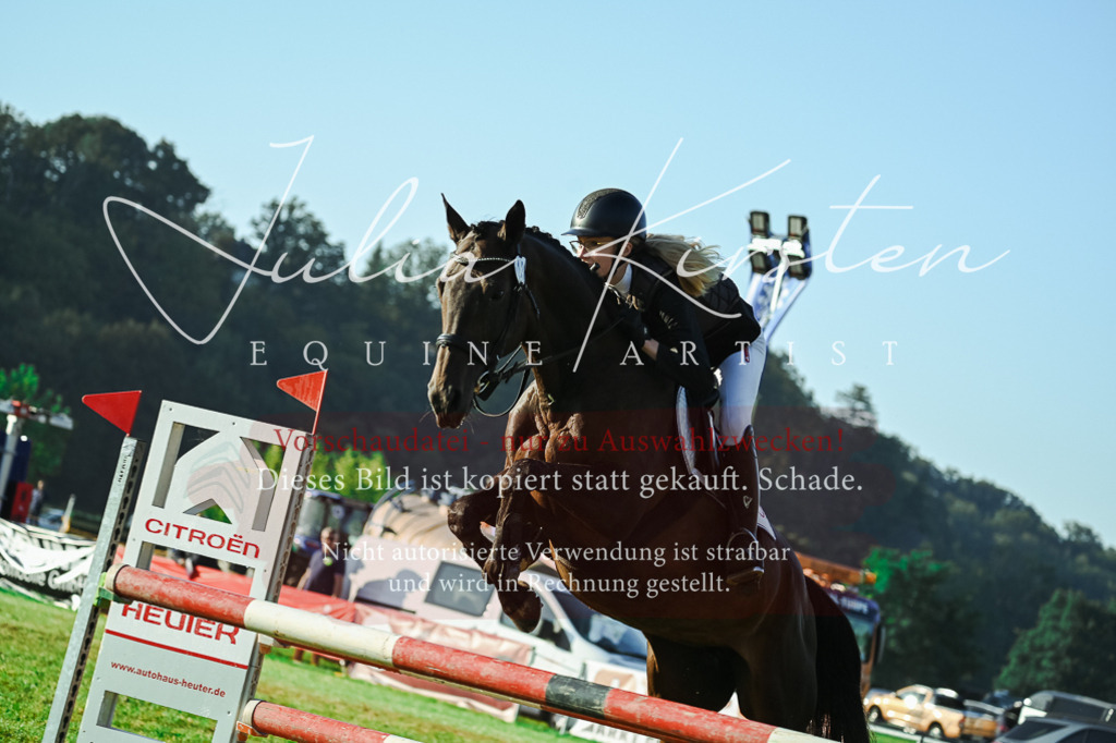 DSC_4232 | Pferde- und Turnierfotografie in Westsachsen. Pferdeportraits, Auftragszeichnungen und intuitive Kunst.