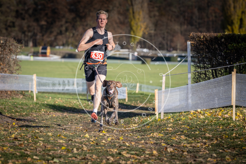CaniXpix_DV3A0094 | Hundefotografie, Tierfotograf, Pfotenfotografie, Fotoshooting Hund, Hunde Portrait, Hundesport, Hundeportraits, Heideshooting, Hunde, Sportfotograf, Hundefotograf, Turnierhundsport, THS,  - Realisiert mit Pictrs.com