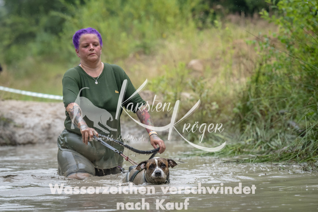 1050_ZZ91291 | kk-dogfotos
