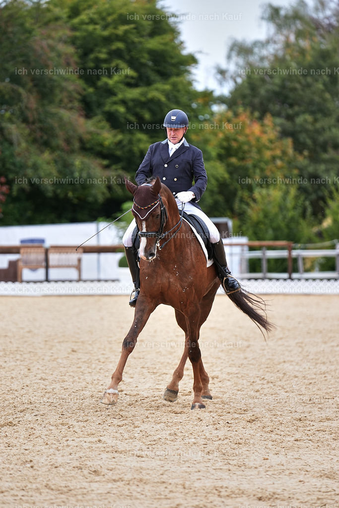 11-092-Dressur S___-Marixx-1595 | working equitationturnier fotograf videograf stoibphotography marixx film working equitation deutschland reitsport turnierfotografie eventfotografie equestrian events
