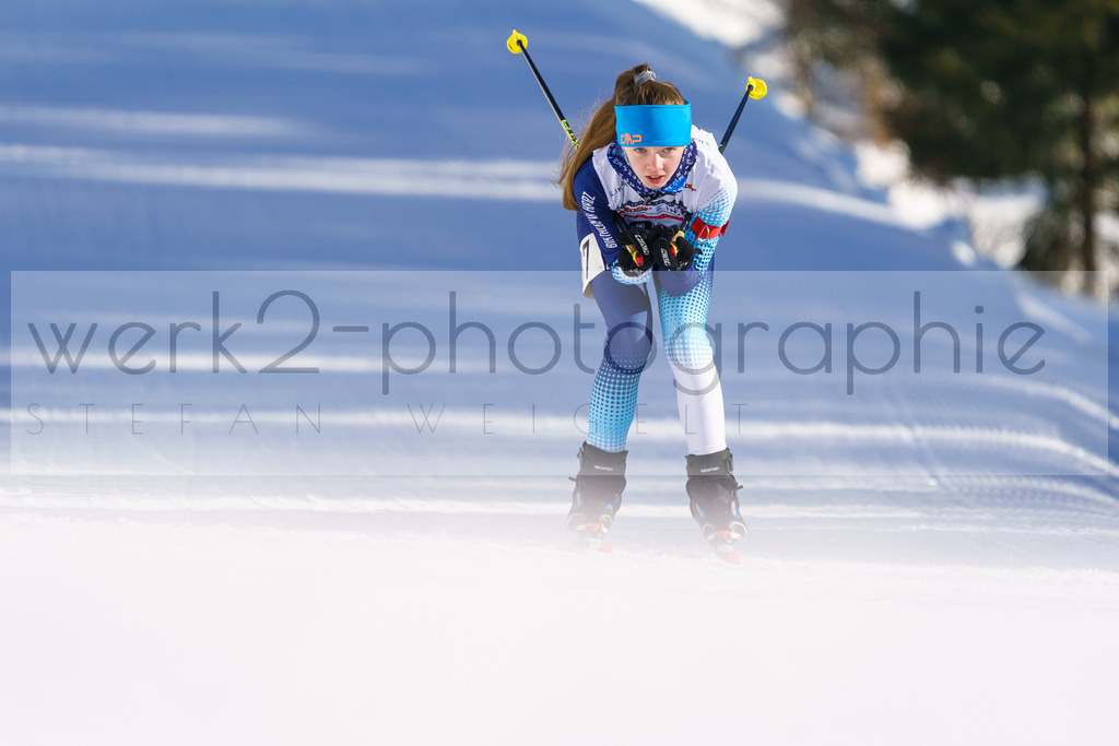 DSC Arber | Bayerischer Wald am 9. bis 12. Februar 2023
