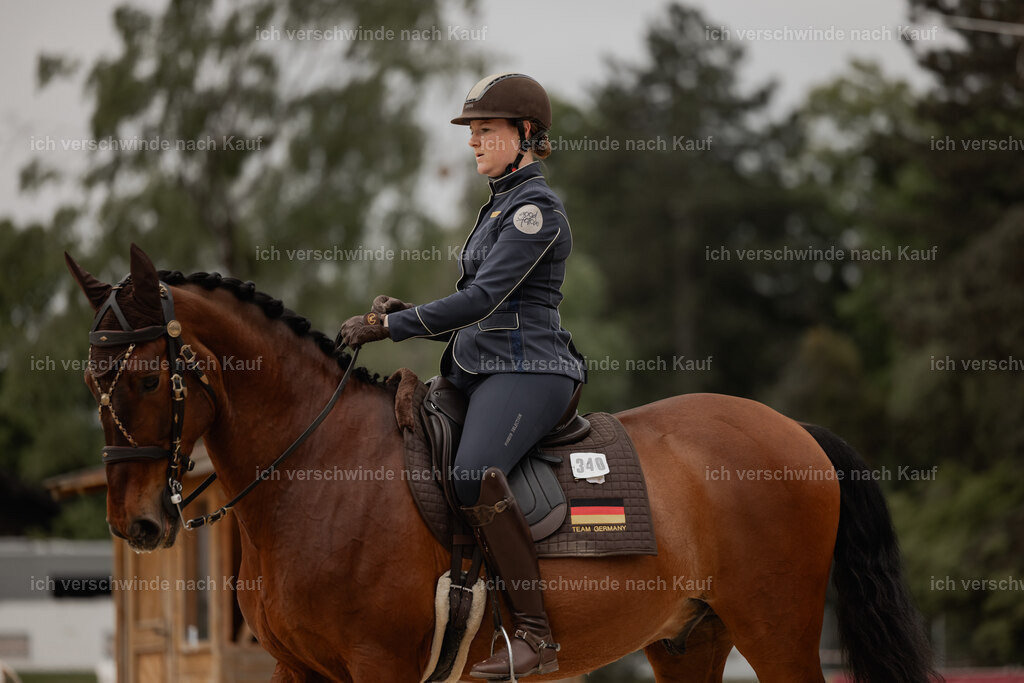 WE_DR_Stoib_340_ _PI2025_107 | Pferd International München 2025