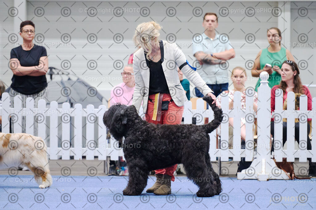 202406_ÖKV-IHA-Tulln24_DSC_2779 | proPHOTO - Realisiert mit Pictrs.com