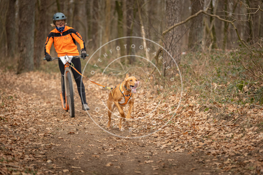 Pfotenfotografie_DV3A0771 | Hundefotografie, Tierfotograf, Pfotenfotografie, Fotoshooting Hund, Hunde Portrait, Hundesport, Hundeportraits, Heideshooting, Hunde, Sportfotograf, Hundefotograf, Turnierhundsport, THS,  - Realisiert mit Pictrs.com