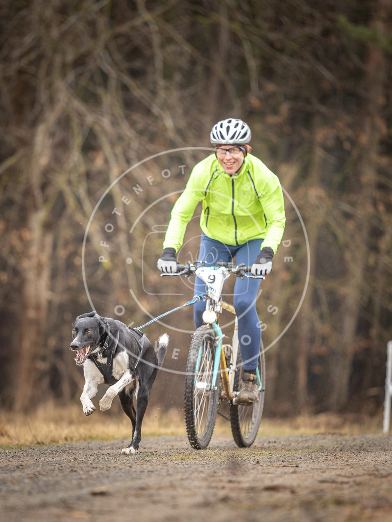 DV3A3200 | Hundefotografie, Tierfotograf, Pfotenfotografie, Fotoshooting Hund, Hunde Portrait, Hundesport, Hundeportraits, Heideshooting, Hunde, Sportfotograf, Hundefotograf, Turnierhundsport, THS,  - Realisiert mit Pictrs.com