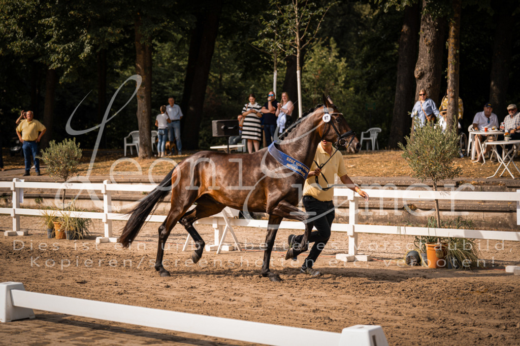 FrER00242 | Leoni Ertmer Photography - Realisiert mit Pictrs.com