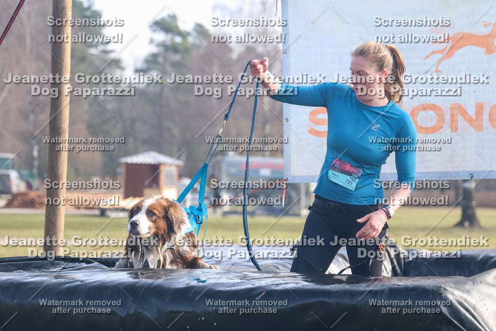 Dog Paparazzi - Strongdog North Mrz26-447 | Dog Paparazzi Jeanette Grottendiek Fotografie & Videografie - Realisiert mit Pictrs.com
