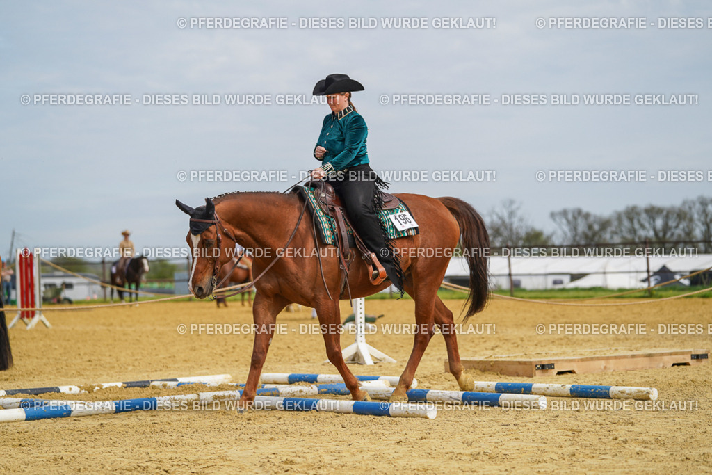 DSC03687 | Pferdegrafie